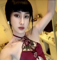 Trans Women Originally - Transsexual escort in Bangkok