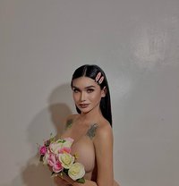 Transangel - Transsexual escort in Manila