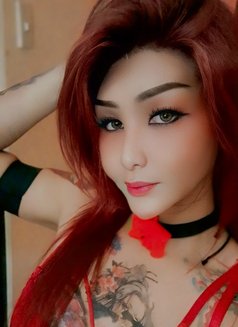 Transdominantmistres - Transsexual escort in Manila Photo 10 of 30