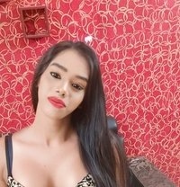 Transexual Chennai Meghna - Transsexual escort in Chennai