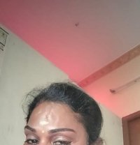 Transexual Salem Priya Baby - Transsexual escort in Chennai