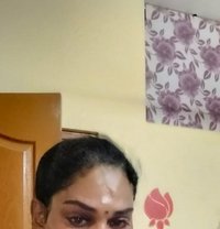 Transexual Salem Priyuu - Transsexual escort in Chennai