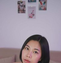 transgender woman🇹🇭 - Acompañantes transexual in Doha