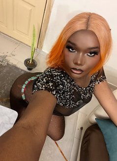 Transgenre Chaude Et Grosse bite - Transsexual escort in Abidjan Photo 14 of 21