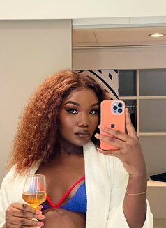 Transgenre Chaude Et Grosse bite - Transsexual escort in Abidjan Photo 15 of 21