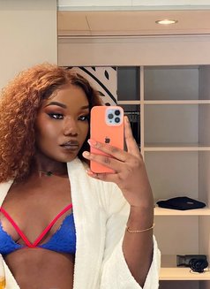 Transgenre Chaude Et Grosse bite - Transsexual escort in Abidjan Photo 16 of 21