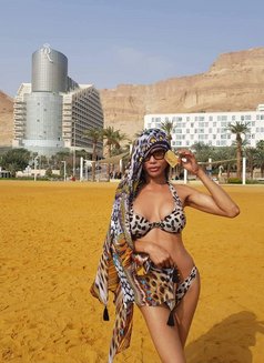 Transjamila - Transsexual escort in Tel Aviv Photo 2 of 3