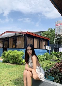 TransTop Sabrina - Transsexual escort in Manila Photo 22 of 23