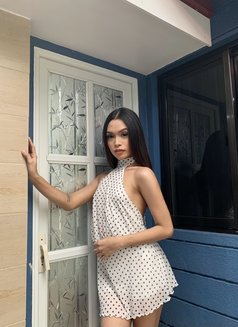 TransTop Sabrina - Transsexual escort in Manila Photo 23 of 23