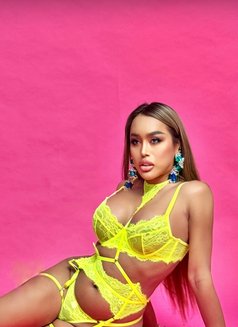 Transworldasia Model Last Few Days... - Transsexual escort in Bangkok Photo 29 of 30