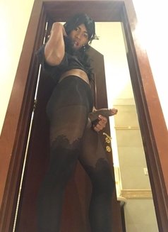 Tras Paola Just Few Days 24 Cm - Transsexual escort in Doha Photo 7 of 10