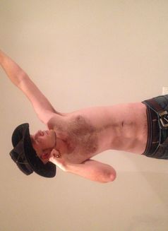 Travis Bickel - Male escort in Cape Town Photo 1 of 4