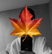 Malay Guy - Male escort in Colombo