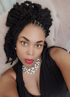 Trina - puta in Chennai Photo 1 of 1