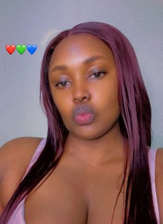 Triple - companion in Nairobi Photo 1 of 1