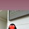 Trisha 74 - escort in Kuala Lumpur Photo 4 of 24