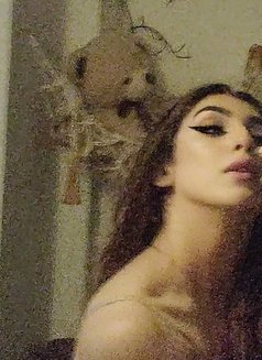 Trisha - Transsexual escort in New Delhi Photo 17 of 19