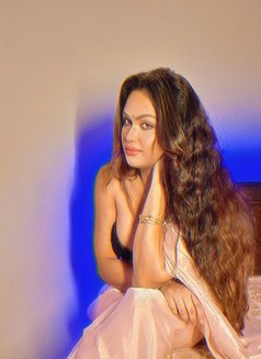 Trisha Roy - Transsexual escort in Mumbai Photo 24 of 24