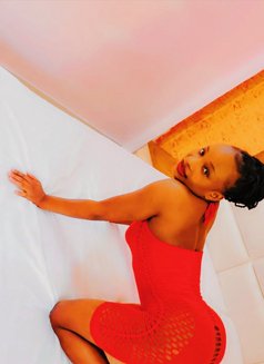 Trisha sex and blow job queen - escort in Ahmedabad Photo 4 of 5