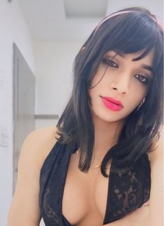 TRISHA SHEMALE VISITOR - Transsexual escort in Indore Photo 22 of 23