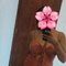 Trishi ( Visit & Cam ) - escort in Colombo Photo 3 of 8