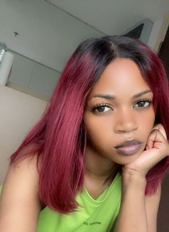 Trivia - escort in Bangkok Photo 1 of 3