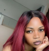 Trivia - escort in Bangkok