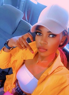 Trivia - escort in Bangkok Photo 3 of 3