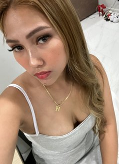 Trixie’25 Just Arrived in Bangkok - puta in Bangkok Photo 17 of 28