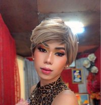 Trixie Estimada - Acompañantes transexual in Davao