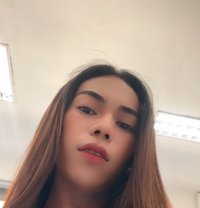 Trixie Estimada - Acompañantes transexual in Davao