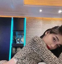 Trixie - Transsexual escort in Angeles City