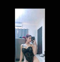 Trixie - Transsexual escort in Angeles City