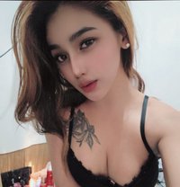 Trixie - Transsexual escort in Angeles City
