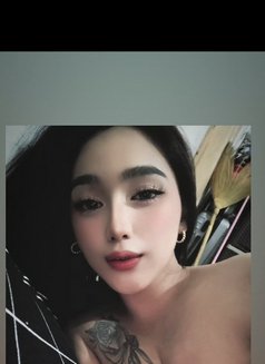 Trixie - Transsexual escort in Angeles City Photo 17 of 17