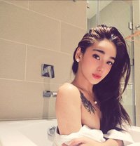 Trixie - Transsexual escort in Angeles City