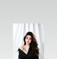 Trixie - Transsexual escort in Angeles City