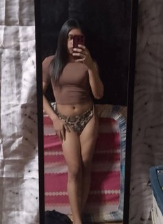 Trixie - Transsexual escort in Manila Photo 5 of 5