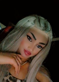 Trns Girl - Transsexual escort in Beirut Photo 25 of 30