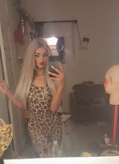 Trns Girl - Transsexual escort in Beirut Photo 27 of 30