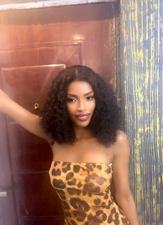 True - escort in Doha Photo 2 of 3