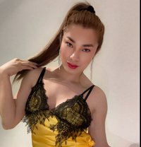 Midnight Temptation - Transsexual escort in Kuala Lumpur Photo 24 of 25