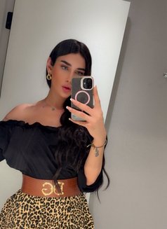 GHARAM ARAB SEXDOLL 20 CM غرام عربيه - Acompañantes transexual in İstanbul Photo 29 of 29