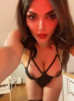 Ts 3nood - Transsexual escort in Stockholm Photo 20 of 27
