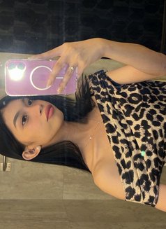 TS Angel is back - Acompañantes transexual in Manila Photo 9 of 9