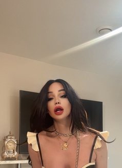 Ts Ameerah شيميل اميرة لبنانية بلندن - Transsexual escort in London Photo 5 of 12