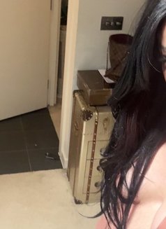 Ts Ameerah شيميل اميرة لبنانية بلندن - Transsexual escort in London Photo 6 of 12