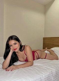 BABYGIRL 🤍 - Transsexual escort in Singapore Photo 18 of 29