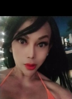 TS Andini - Hot, passionate, fun & party - Acompañantes transexual in Bali Photo 18 of 18