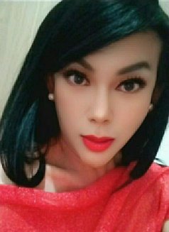 TS Andini - Hot, passionate, fun & party - Transsexual escort in Jakarta Photo 4 of 19